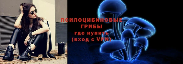 дживик Богородицк