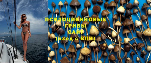 дживик Богородицк